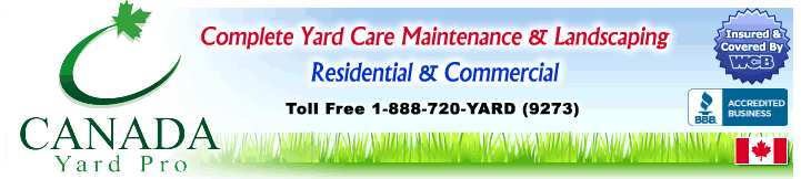 Snow Removal Services Edmonton